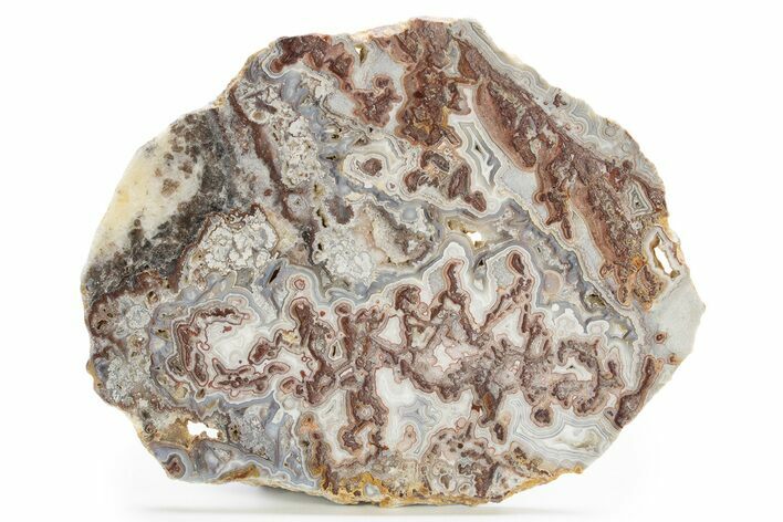 Polished Crazy Lace Agate Slab - Mexico #316097